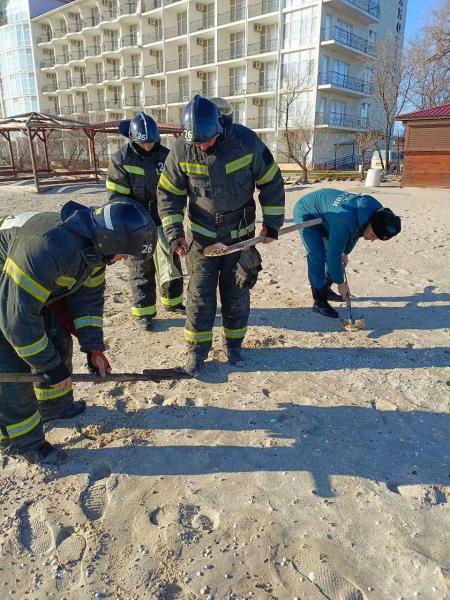 Балицкий: Мазут с танкеров в Керченском проливе обнаружили на Азовском побережье
